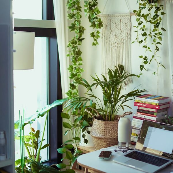 Minimalist desk with plants and soft blue lighting.